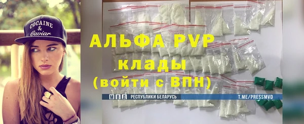 прущие грибы Билибино
