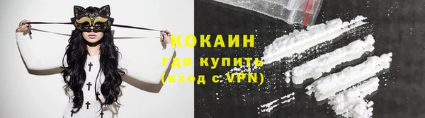 сатива Михайлов
