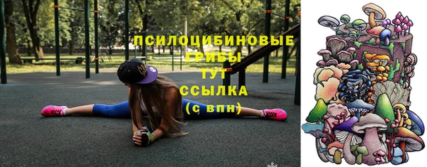 МДПВ Новодвинск