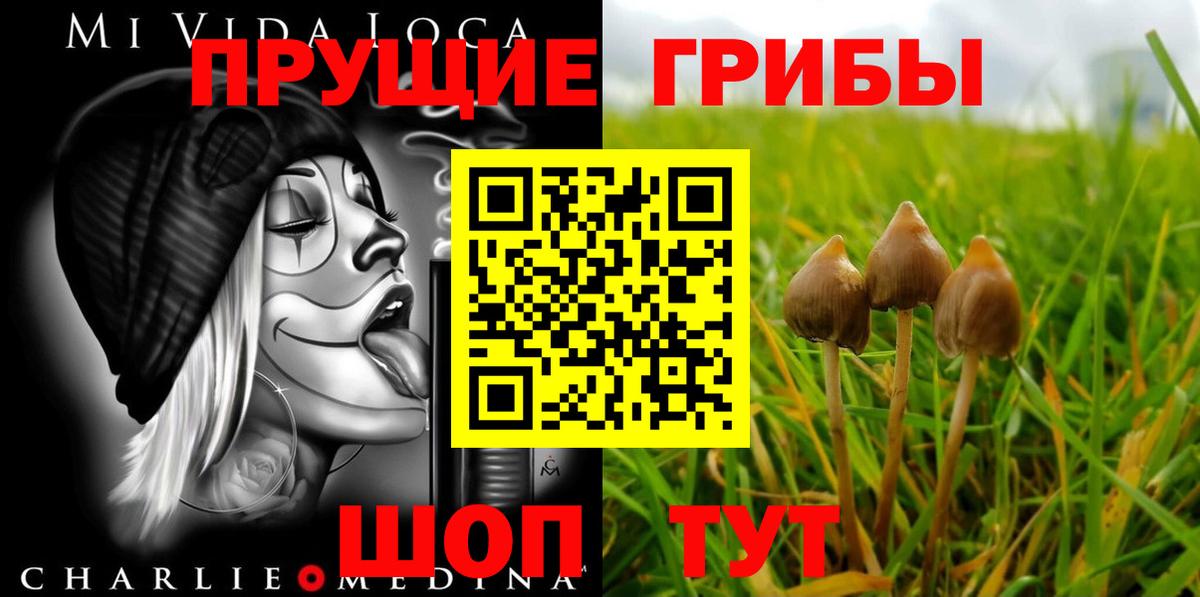Псилоцибиновые грибы Magic Shrooms  Галлюциногенные грибы Magic Shrooms  хочу   Кировск 