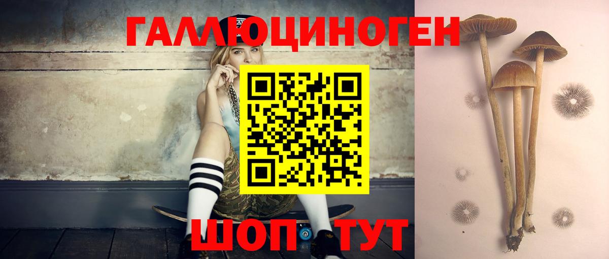 Галлюциногенные грибы Psilocybe  Галлюциногенные грибы мицелий  Вход с VPN  Кировск 